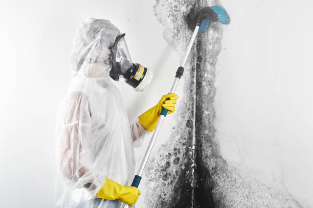 Best Air Quality Testing for Mold Spores  in Cloverport, KY