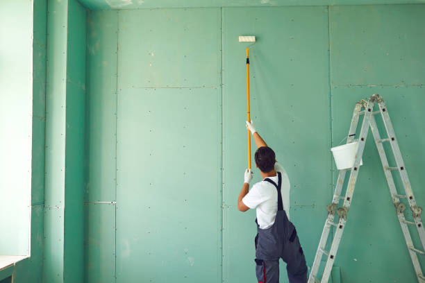 Mold Removal for HVAC Installations in Cloverport, KY