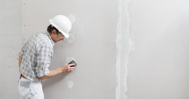 Best Mold Odor Removal Services  in Cloverport, KY