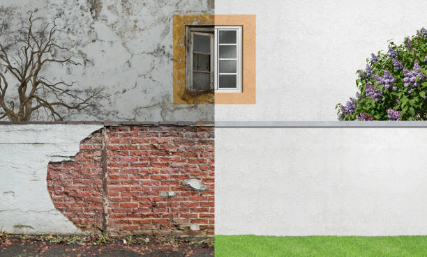 Best Mold Remediation for Healthcare Facilities  in Cloverport, KY
