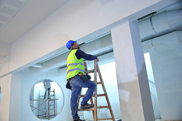  Cloverport, KY Mold Removal Pros