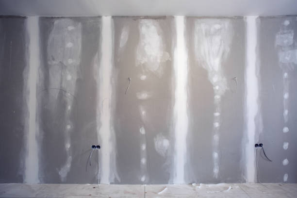 Best Mold Damage Restoration  in Cloverport, KY