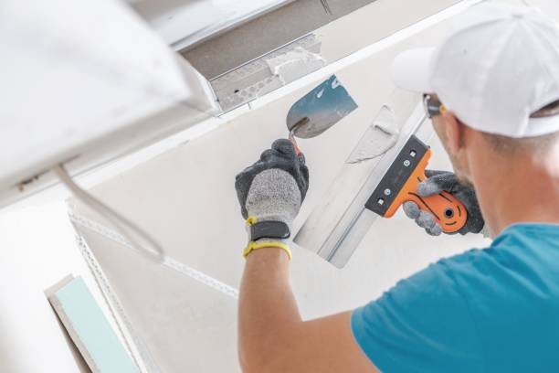 Best Dehumidification Services  in Cloverport, KY